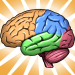 Bilingualism slows onset of Alzheimer’s