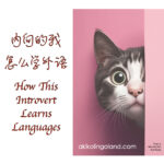 How This Introvert Learns Languages